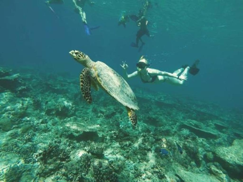 Gurus Maldives At Gulhi Island Hotel Екстериор снимка